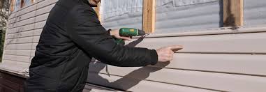 Best Vinyl Siding Installation  in Roscommon, MI